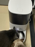 霍曼（Homerun）Real智能自动喂食器猫粮狗粮定时猫咪自动投食机（不锈钢碗） 实拍图