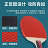 红双喜SH横直对拍01初学者训练比赛乒乓球拍横直套装+乒乓球 实拍图