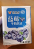 风行牛奶蓝莓风味牛奶饮品 200ml*24盒 风味牛奶量贩装团购 礼盒装送礼 实拍图