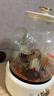 OIDIRE（偶点）全玻璃养生壶 花茶壶无胶水煮茶壶 煮茶器办公室恒温养生壶烧水壶电热水壶炖煮智能保温 1L ODI-HC01花茶养生壶【不带滤网】 实拍图
