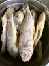 鲜到鲜得 冷冻三去小黄鱼1155g(约50条)黄花鱼 生鲜 海鲜源头直发 实拍图
