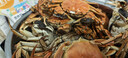 【活蟹】（网兜蟹）泰州兴化大闸蟹生鲜活螃蟹海鲜水产足斤足两 公母混搭3斤装（约15-22只) 保底5只母蟹 实拍图