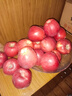 礼多果甘肃天水花牛苹果2025新鲜红蛇果老人小孩粉面水果 需要放粉 净重8.5斤 单果200g+ 实拍图