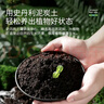 史丹利营养土养花通用型家用多肉兰花专用土泥炭土壤种植土花土10L 实拍图