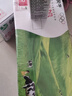 蒙牛纯牛奶利乐钻200ml*24盒营养早餐 电商定制 部分地区8月产 实拍图