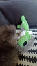 亚禾狗狗玩具发声耐咬毛绒磨牙柯基边牧大型犬柴犬逗狗玩偶自嗨解闷 趴趴绿狼 实拍图