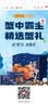 【活蟹】蟹宗现货鲜活大闸蟹全母3.5-3.8两10只生鲜螃蟹海鲜中秋节礼品礼盒节日送礼 实拍图