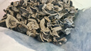 十月稻田 东北黑木耳 500g 干木耳 黑龙江东宁特产 肉厚无根 火锅凉拌炒菜 实拍图