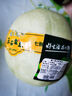 藤上熟玉菇蜜瓜单粒约1.2kg 实拍图