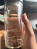 希诺双层玻璃杯男茶水分离杯高档泡茶杯子车载水杯XN-9338本色 290mL 实拍图