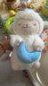 名创优品（MINISO）羊咩咩系列甜睡小羊公仔毛绒玩具玩偶公仔娃娃生日礼物女 月亮款 实拍图