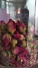 同仁堂（TRT）同仁堂 TRT 玫瑰花80g/瓶红玫瑰花干大朵无硫胎玫瑰泡水养生花草茶中药饮片级送礼礼品礼物 实拍图