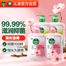 滴露（Dettol）洗手液抑菌滋润450g*2+松木450g*2儿童家庭补充装消毒温和护手 实拍图