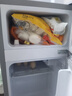 华宝小冰箱小型家用出租房用冷藏冷冻两用一级能效节能省电迷你宿舍寝室办公室二门电冰箱 【店长推荐】48L银色【三天不到一度电】 实拍图