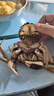 【活蟹】湖鲜阳澄大闸蟹全母3.3-3.6两8只去绳足重现货鲜活水产超大螃蟹送礼海鲜礼盒装 实拍图