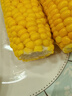 云南高原新鲜水果玉米起脆甜爆浆可生吃现采现发300g/棒营养早餐 水果玉米9斤 净重 实拍图