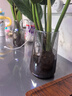 京东鲜花 北欧ins风简约玻璃花瓶水培鲜花插花小花瓶客厅餐桌水养创意摆件 实拍图