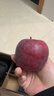 京鲜生 天水花牛苹果 净重4.5斤 单果170g+ 生鲜水果源头直发 实拍图
