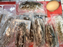 辽参大连有机冷冻海参1斤7-9只非即食辽刺参京东自营旗舰店 固形物85% 实拍图