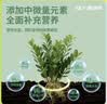 施可丰金钱树营养液专用肥料黄叶落叶烂根叶子发黄掉叶枯黄钱串子盆栽肥 实拍图
