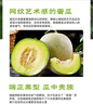 京鲜生 海南网纹蜜瓜 4-6粒装 净重10斤起 生鲜水果礼盒 实拍图