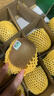 佳沛（zespri）绿奇异果 优选大果12粒单果约113-135g  水果 猕猴桃 实拍图
