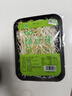 【有机】绿豆芽 200g 实拍图