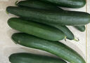 京喜加新鲜无刺水果小黄瓜小青瓜脆甜荷兰脆嫩生吃黄瓜蔬菜 水果黄瓜 3斤 带箱 实拍图