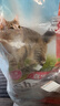 喜乐比猫粮全价鸡肉三文鱼配方通用猫咪主粮 【控毛球】成猫9kg 实拍图