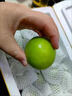 晟容果蔬福建贵妃牛奶大青枣当季新鲜水果蜜甜脆枣孕妇冬季枣子礼盒送礼 净重5斤【店长推荐-80%选择】 【老树果】单果60g+ 实拍图