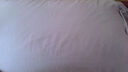 Downia枕套 100支全棉枕套 五星级酒店纯色贡缎枕头套 单只蓝桔48*74CM 实拍图