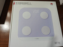 华为智能体脂秤 3 蓝牙版 蓝楹紫 家用智能电子秤体重秤体脂秤 人体成分检测算法 13项身体数据监测 实拍图