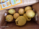 黄金百香果钦蜜9号新鲜当季现摘精选好果水果百香果鲜果酸甜可口 钦蜜9号黄金百香果 >60g大果 2斤 实拍图