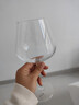 CLITON玻璃红酒杯高脚杯勃艮第杯分酒器10件酒具套装家用6个酒杯醒酒器  实拍图