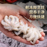 美加佳 三去章鱼仔 净重1斤（12-25枚） 火锅八爪鱼 去牙去脏小章鱼  实拍图