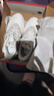 特步【福袋盲盒】运动鞋男女鞋休闲鞋品牌礼包跑步鞋轻便耐磨棉鞋盲盒 女鞋【59元随机发】 39 实拍图