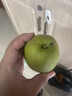 趣尝鲜山西玉露香梨 300g+ 净重5斤 新鲜水果生鲜 1号店 源头直发 实拍图