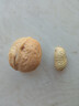 【限时优惠】新疆185纸皮生核桃5斤原味坚果孕妇零食核桃纸皮薄皮 【250g手剥即开】185纸皮核桃 新疆阿克苏老树大号185纸皮核桃 实拍图