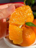 四叔公果蔬四川春见耙耙柑【闪送】粑粑柑橘子桔子丑橘新鲜应季水果礼盒礼品 【黄金酸甜比】15A老树果王｜单果85-100mm 【限定·尊享礼盒】6枚装｜颗颗臻选 实拍图