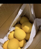 京鲜生 安岳黄柠檬16粒 单果95g-120g 生鲜水果 实拍图
