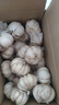 紫白皮蒜水果大蒜超市即食生鲜蔬菜大蒜 【精选】净重 2.8斤 单果3.5-5cm 实拍图