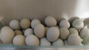 保卫蛋蛋 新鲜乌鸡蛋绿壳蛋40枚3.2斤谷物 孕妇宝宝放心 年货礼盒源头直发 实拍图