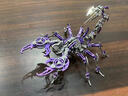 机械昆虫可动仿真蝎子精密金属拼装模型立体拼图创意diy手工玩具 【紫魔蝎】限时特价 实拍图