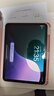Apple/苹果 iPad11英寸 A16芯片2025年款 平板电脑 (256GB WLAN版/学习办公娱乐)粉色 实拍图