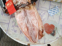 北海印象北海特产 鱿鱼干A1 500g 淡干烧烤手撕芥末干货 年货春节送礼礼品 实拍图