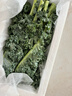 羽衣甘蓝新鲜生鲜蔬菜嫩叶甘兰芥蓝西餐沙拉榨汁减肥减脂 羽衣甘蓝减脂尝鲜装1斤 实拍图