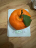 【顺丰】四川眉山甘平柑橘皇后孕妇新鲜水果纯甜小金牛桔子耙耙柑 3斤（新鲜带枝叶发货） 精选一级巨无霸（单果350g以上） 实拍图