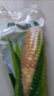 傣萨金谷西双版纳香糯小玉米花糯玉米即食云南玉米低脂杂粮真空轻食减餐 A级-香糯小玉米5斤 实拍图