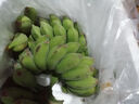 广西小米蕉当季新鲜应季水果日日鲜香甜小香蕉芭蕉孕妇水果整箱 净重3斤 酸甜口的小香蕉 实拍图