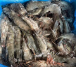 鲜京采 鲜冻大号黑虎虾 去冰净重2斤 31-40只/盒 斑节对虾 实拍图
